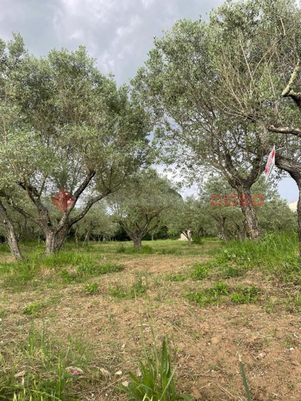 casa indipendente in vendita ad Anagni