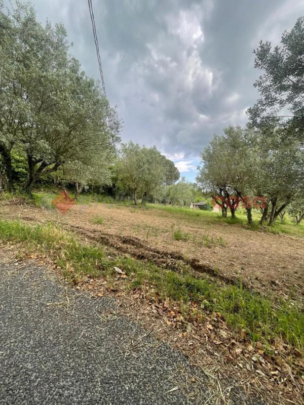 casa indipendente in vendita ad Anagni