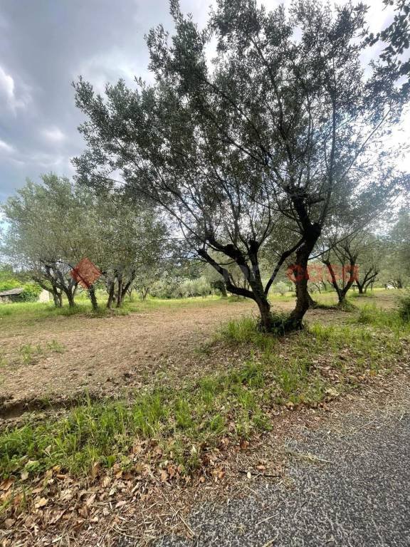 ufficio in vendita ad Anagni