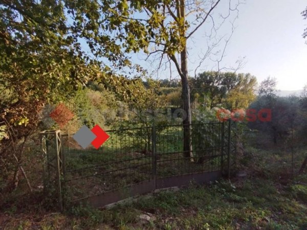 terreno agricolo in vendita ad Anagni
