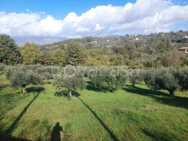 terreno agricolo in vendita ad Anagni
