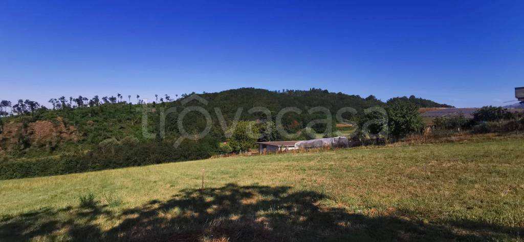 terreno agricolo in vendita ad Anagni in zona San Filippo