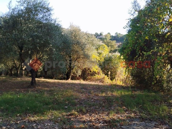ufficio in vendita ad Anagni