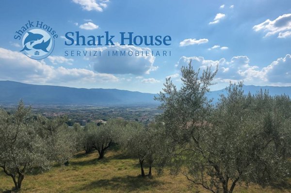 terreno agricolo in vendita ad Anagni