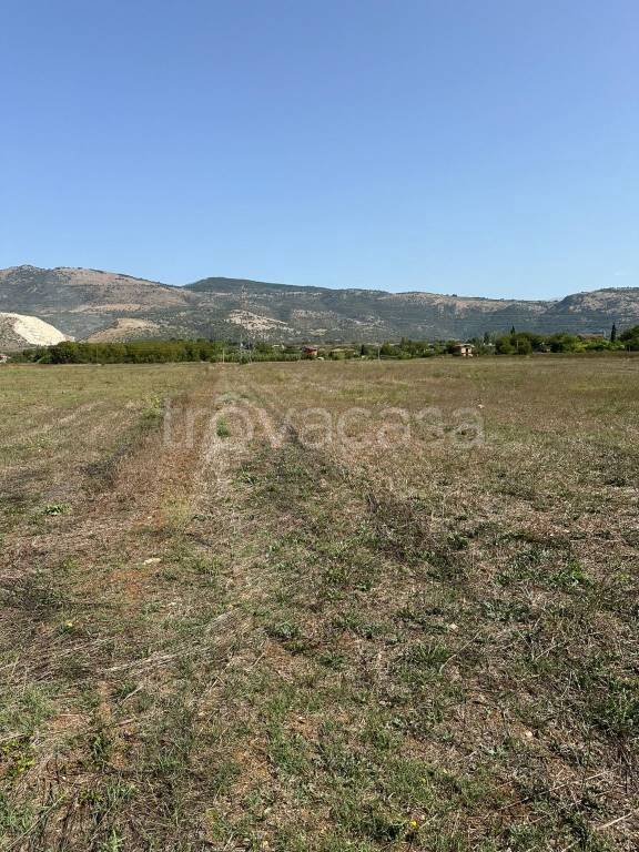 terreno agricolo in vendita ad Anagni in zona Osteria della Fontana