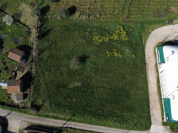 terreno agricolo in vendita ad Anagni in zona Osteria della Fontana