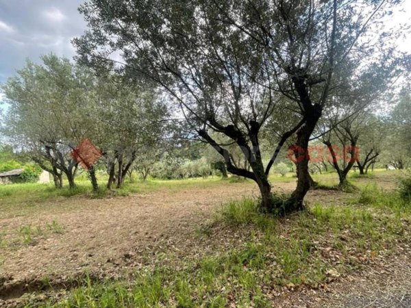 terreno agricolo in vendita ad Anagni