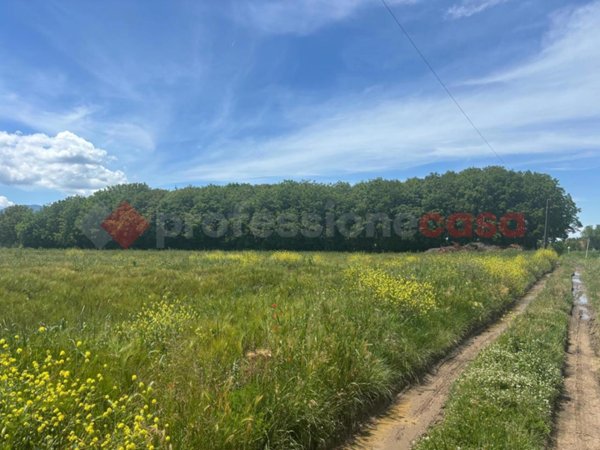 terreno agricolo in vendita ad Anagni