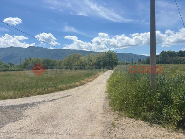 terreno agricolo in vendita ad Anagni