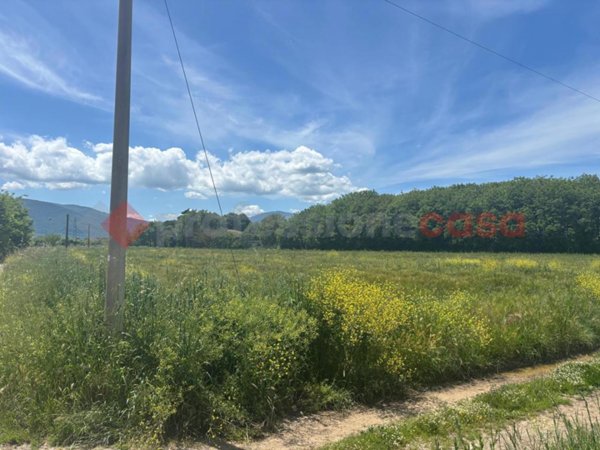 terreno agricolo in vendita ad Anagni