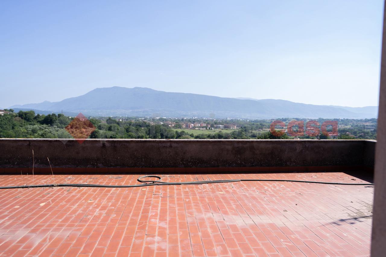 immagine annuncio 0 di 15