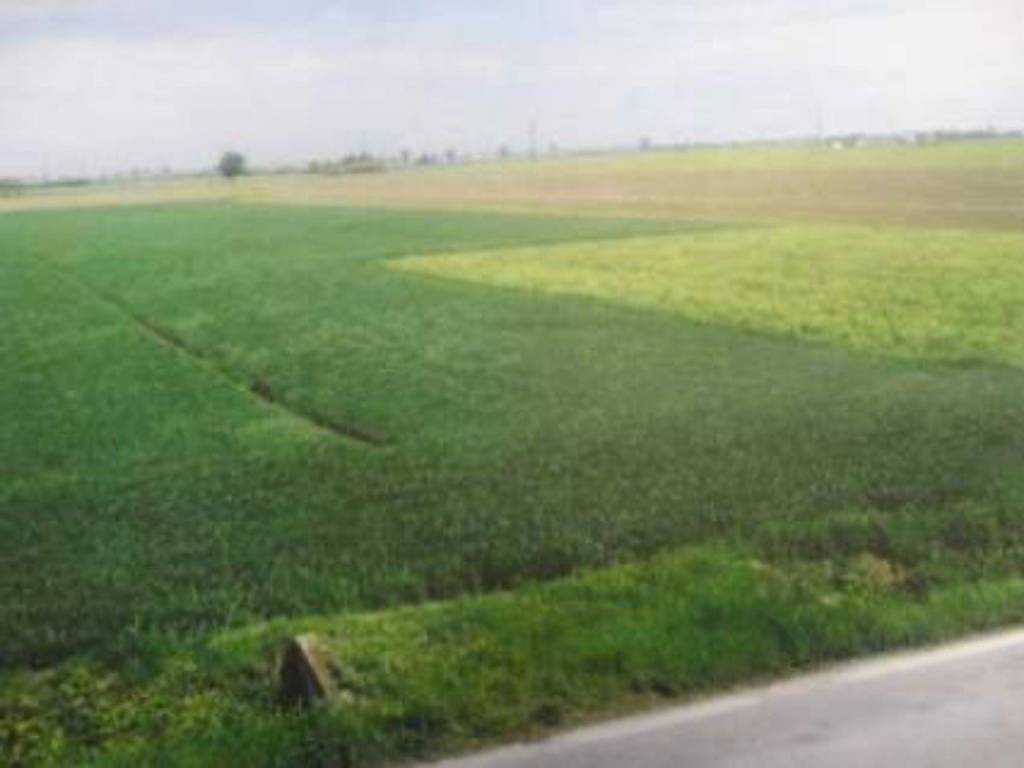 terreno agricolo in vendita ad Anagni