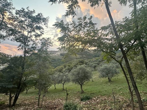 casa indipendente in vendita ad Anagni