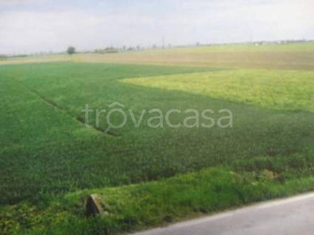 terreno agricolo in vendita ad Anagni