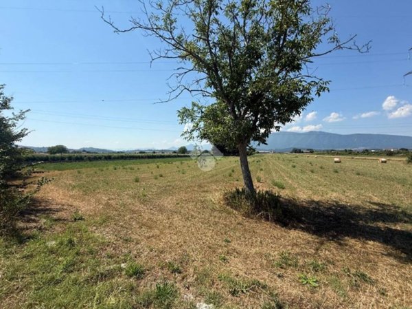 terreno agricolo in vendita ad Anagni