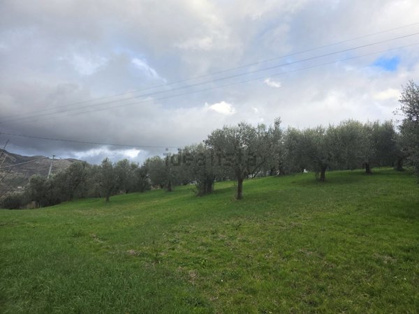 terreno in vendita ad Anagni in zona San Filippo