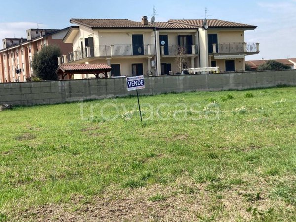 terreno agricolo in vendita ad Aquino