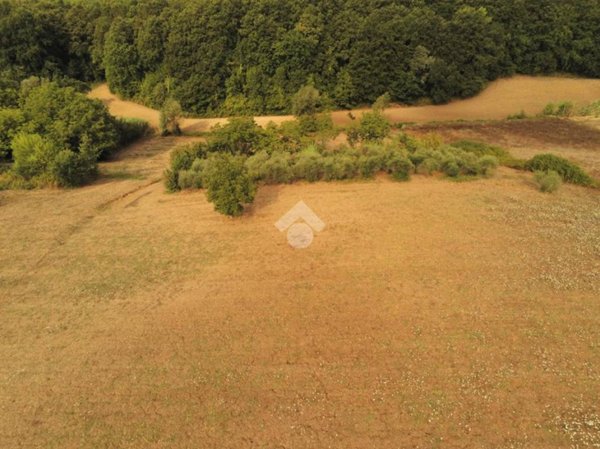 terreno agricolo in vendita ad Aquino