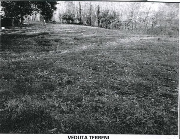 terreno agricolo in vendita ad Aquino