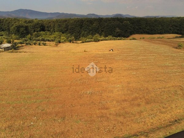 terreno agricolo in vendita ad Aquino
