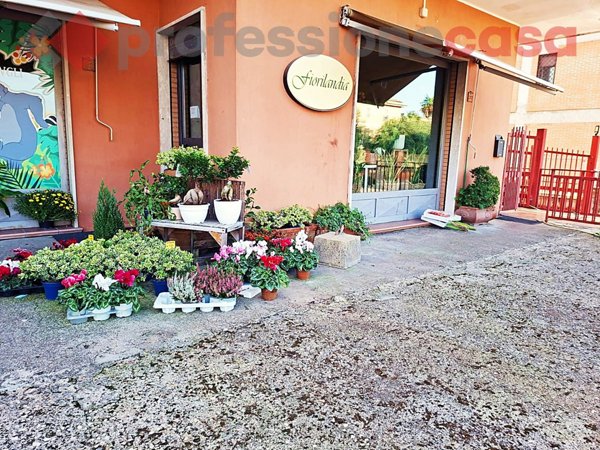 negozio in vendita ad Aquino