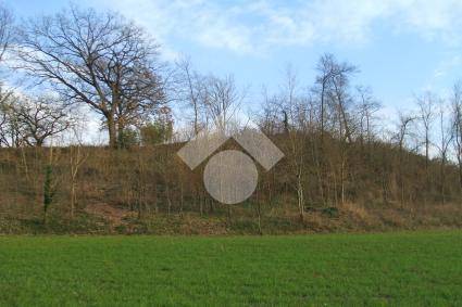 terreno agricolo in vendita ad Aquino