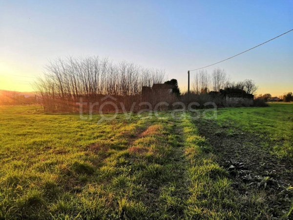 terreno agricolo in vendita ad Aquino
