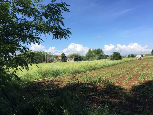 terreno agricolo in vendita ad Aquino