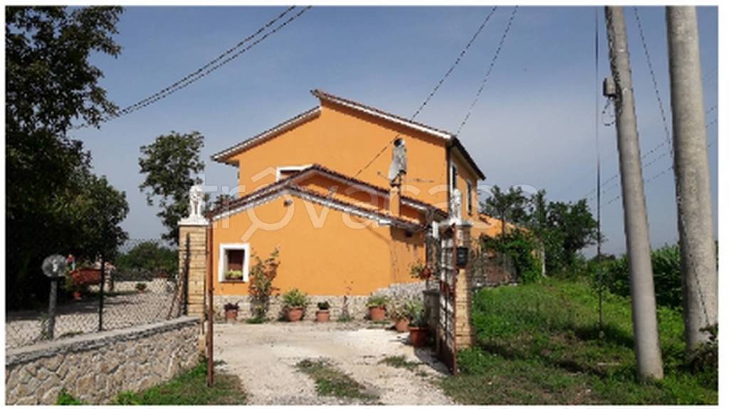 terreno agricolo in vendita ad Aquino