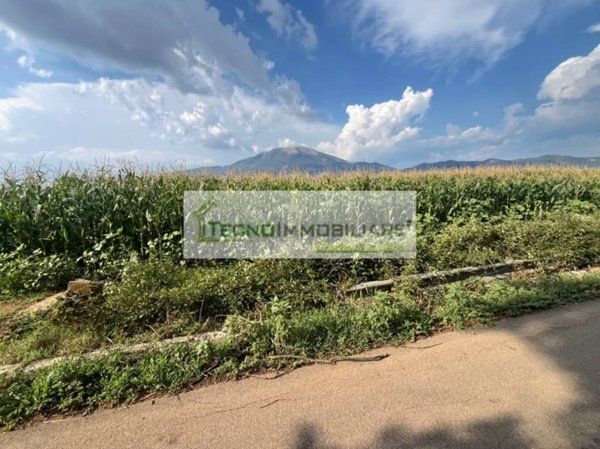 terreno agricolo in vendita ad Aquino