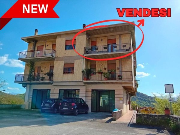 appartamento in vendita ad Arce in zona Portone