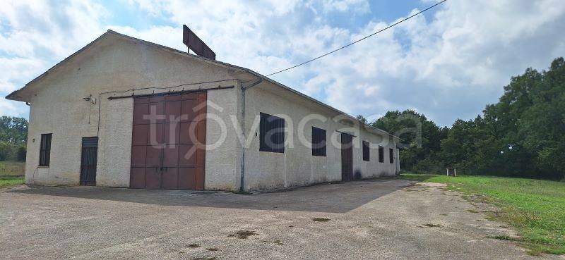 locale commerciale in vendita ad Arce