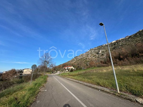 terreno agricolo in vendita ad Arce