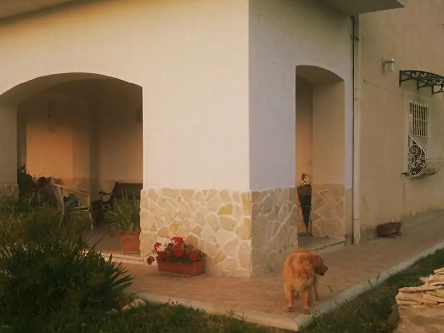 immagine annuncio 0 di 1