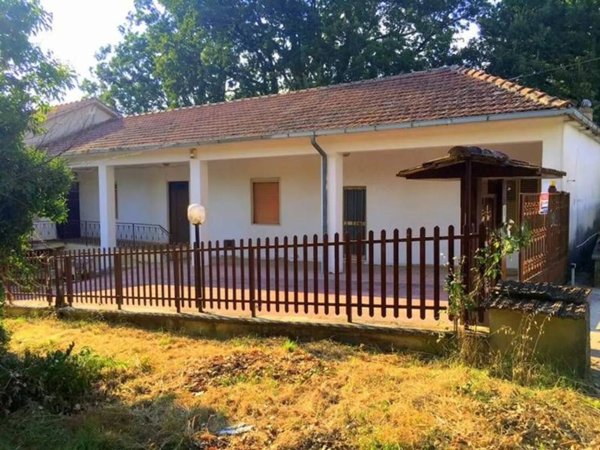 casa indipendente in vendita ad Arce in zona Collealto