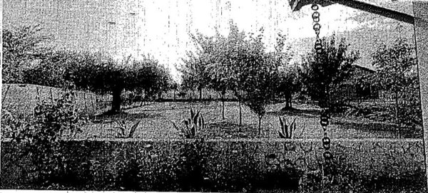 casa indipendente in vendita ad Arce in zona Collealto