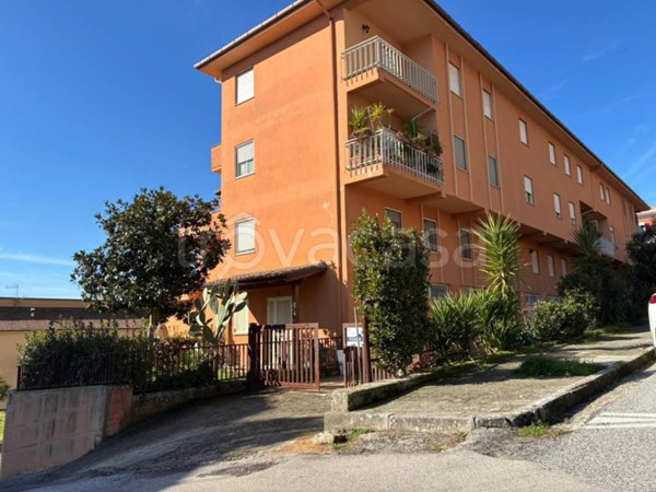 appartamento in vendita ad Arce