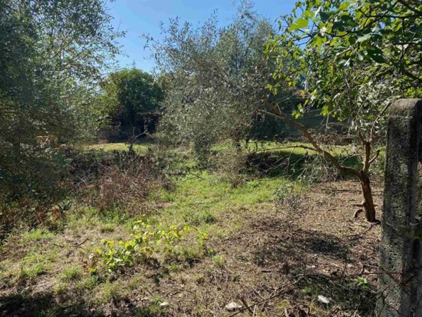 terreno agricolo in vendita ad Arce in zona Isoletta