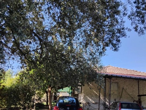 casa indipendente in vendita ad Arce in zona Collealto