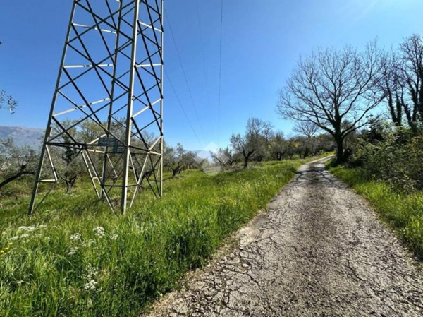 terreno agricolo in vendita ad Arpino
