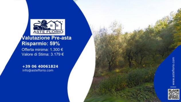 terreno agricolo in vendita ad Arpino