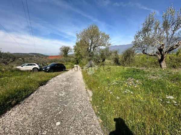 terreno agricolo in vendita ad Arpino