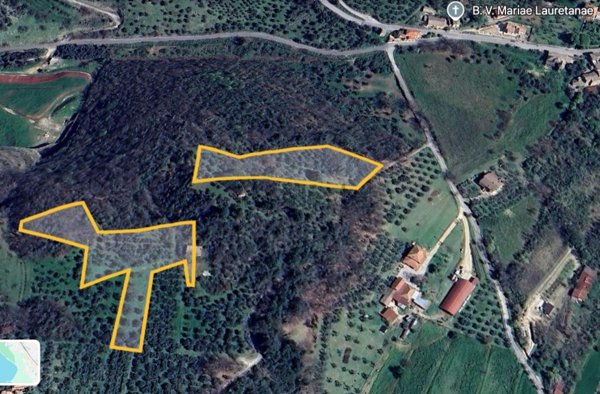 terreno agricolo in vendita ad Arpino