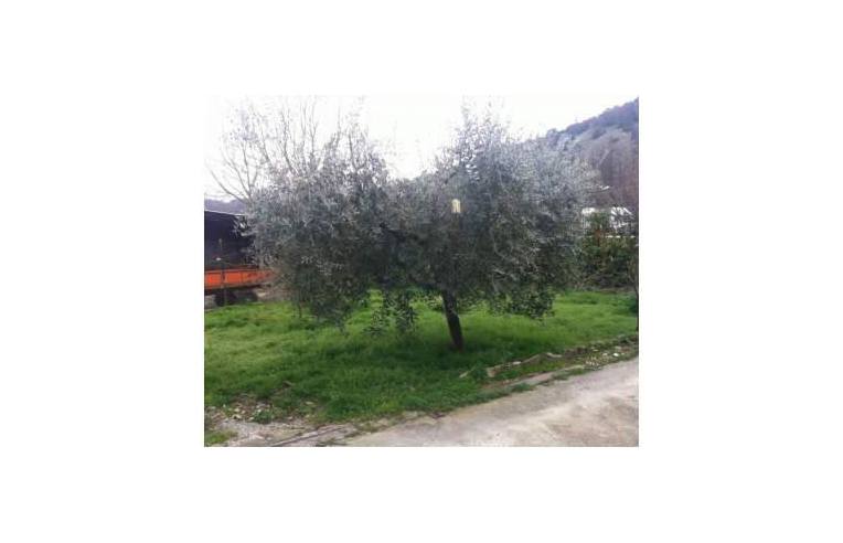 casa indipendente in vendita ad Arpino