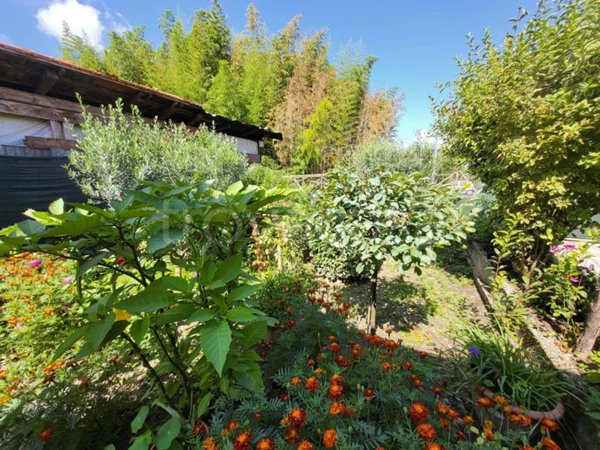 casa indipendente in vendita ad Atina