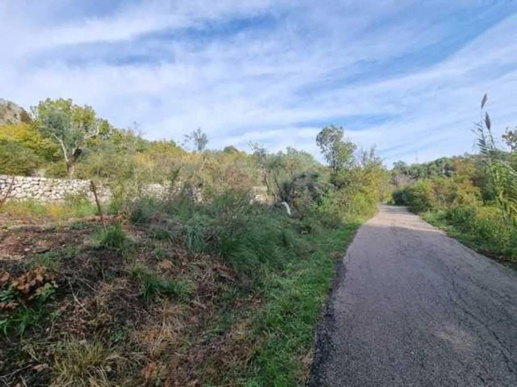 terreno agricolo in vendita ad Ausonia