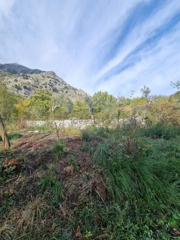 terreno edificabile in vendita ad Ausonia