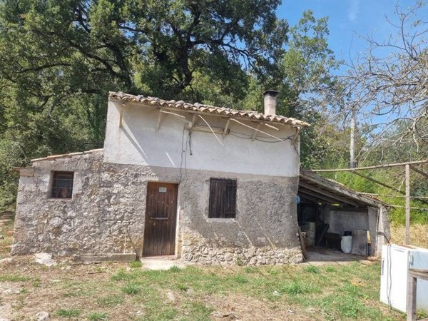 terreno agricolo in vendita ad Ausonia