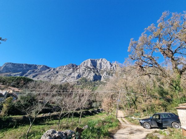 terreno agricolo in vendita ad Ausonia