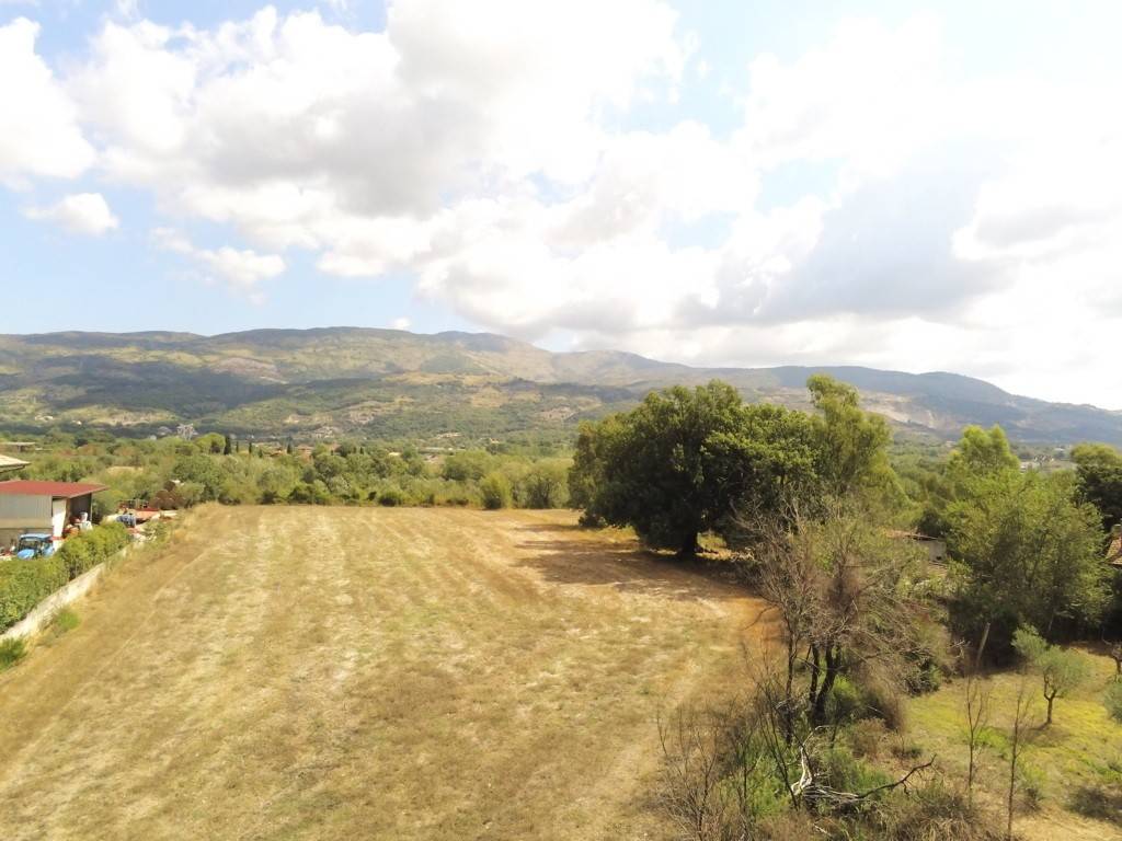 terreno agricolo in vendita ad Ausonia